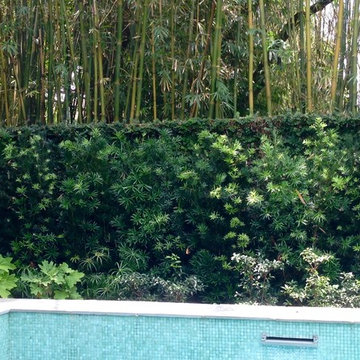 Green Hideaway