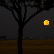 Leslie Maxwell's photo