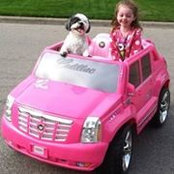 Ashley Sunshine's photo