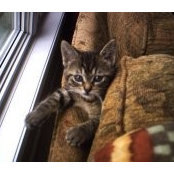 Carolyn Bell's photo