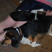 Robyn Wampler's photo