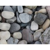 Brooks Langkans's photo