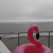 Foto von rick greenawalt