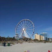Michaela Williams's photo