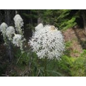 Beth Gilbert's photo