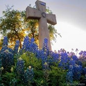 Jennifer Lane's photo