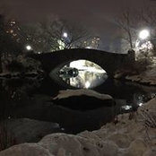 Alan Kellogg's photo
