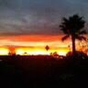 Don Monsen's photo
