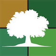 Arborist Now, Inc.'s profile photo