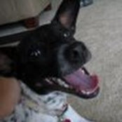 Amy Fain's photo