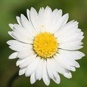 Anna Gas foto