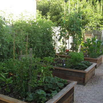 Sharpe Ranch/ Vegetable Garden