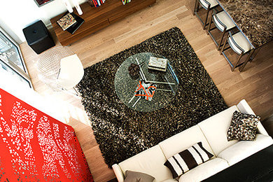 Metropole Condominium Model and Art