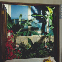 bathroom botany