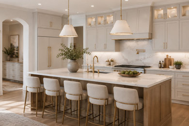 Kitchen - mid-sized transitional kitchen idea in Dallas with shaker cabinets and an island