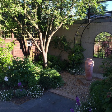 Small South London Garden