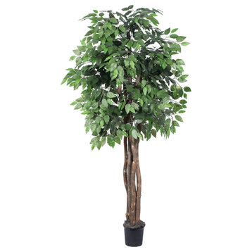 Vickerman Ficus Executive Tree, 6'