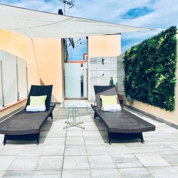 VistaFolia Luxury Roof Top Deck with Artificial Greenwall Privacy Screen
