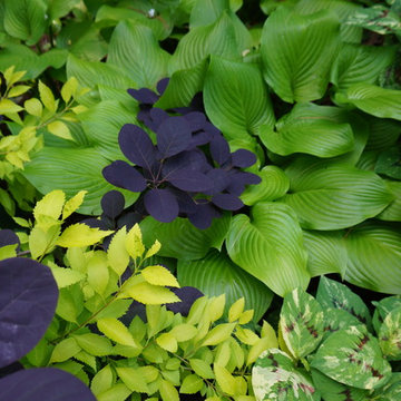 Howard Designs - Demonstration Garden