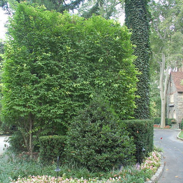 Main Line Garden