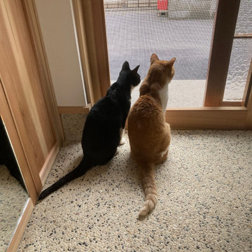 猫と暮らす家