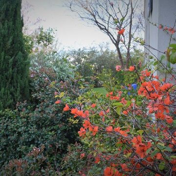 Rural Garden