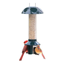 birdfeeders