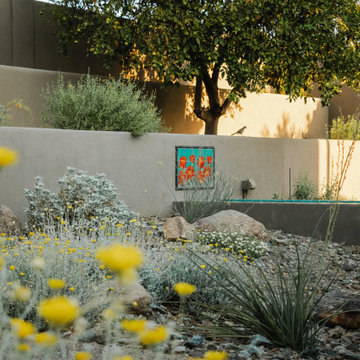Desert Vista