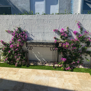 After - Espalier, Trained Vines on Wall