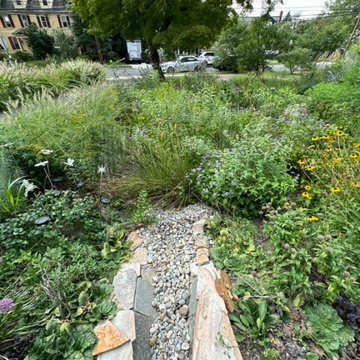 Water Management Habitat Rain Garden