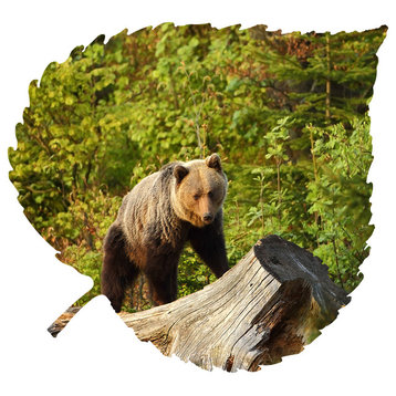 Bear On Log Aspen Leaf Wall Art, Large