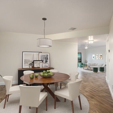 Living Rooms - Virtual Staging