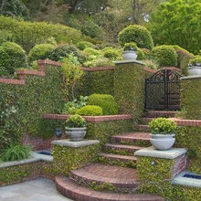 House Renovation - Landscaping