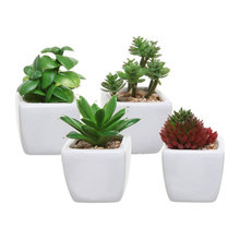 ~Artificial Plants~