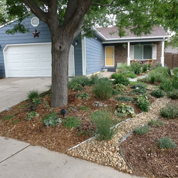 Lawn Alternatives