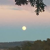Jane McMahan's photo
