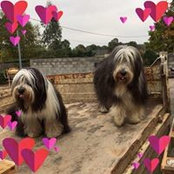 Irene Debethune's photo
