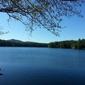 Douglas Penn's photo