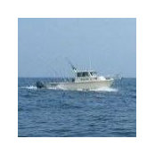 Bo Gorham's photo