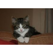 Maggie Doud's photo