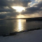 Mary Ann Morrison's photo