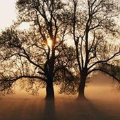 Joanne Liew's photo