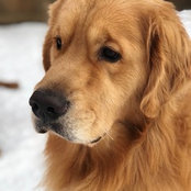 Foto de Lisa H