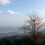 Foto von Wang Ping