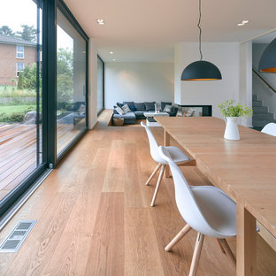 ハンブルクの広い北欧風 LDKの画像 (白い壁、淡色無垢フローリング、両方向型暖炉、漆喰の暖炉まわり)