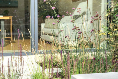 Пример оригинального дизайна: маленький участок и сад на заднем дворе в стиле модернизм с покрытием из каменной брусчатки для на участке и в саду