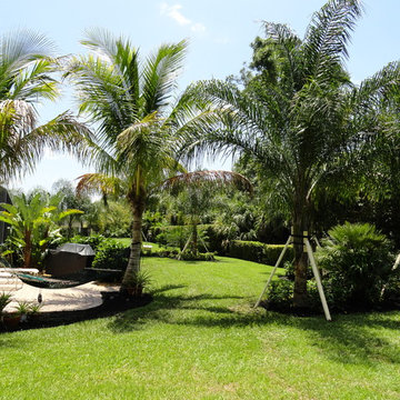 Tropical front & backyard landscapes....Palms & Color