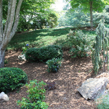 Hillside Gardening