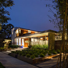 frontyard