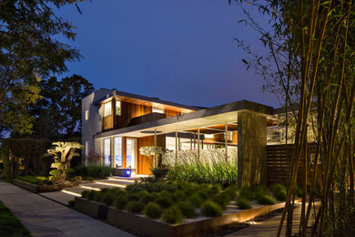 This is an example of a modern garden in San Diego.